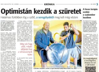 Hatalmas fürtökben lóg a szőlő, optimistán kezdik a szüretet – Csepregi szőlőbirtokon jártunk