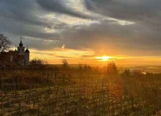 Új év, új remények