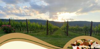 Borkóstolóval egybekötött sajtkóstoló Cákon a Stefanich Pincészetben