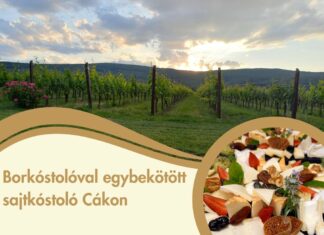 Borkóstolóval egybekötött sajtkóstoló Cákon a Stefanich Pincészetben