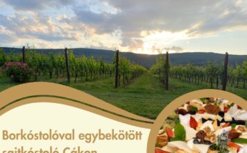 Borkóstolóval egybekötött sajtkóstoló Cákon a Stefanich Pincészetben