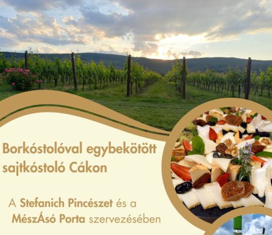 Borkóstolóval egybekötött sajtkóstoló Cákon a Stefanich Pincészetben