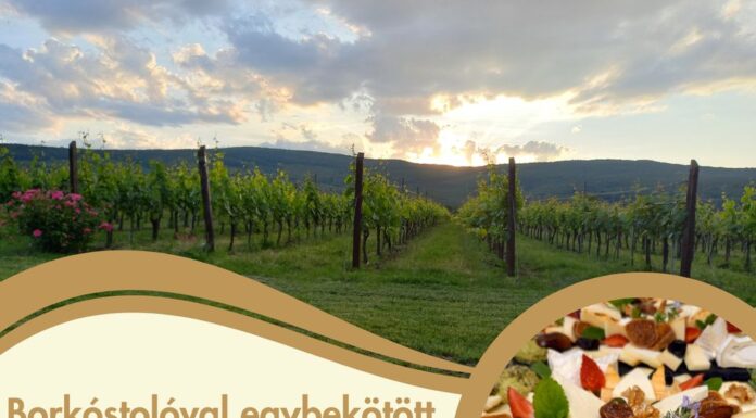 Borkóstolóval egybekötött sajtkóstoló Cákon a Stefanich Pincészetben