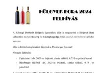 Hölgyek Bora felhívás 2024
