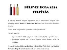 Hölgyek Bora felhívás 2024