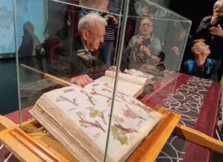 1740 óta örökítik meg a szőlőhajtásokat Kőszegen