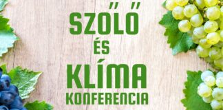 Szőlő és Klíma Konferencia
