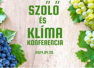 Szőlő és Klíma Konferencia