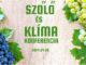 Szőlő és Klíma Konferencia