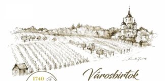 Furmint szűztermés a város birtokán