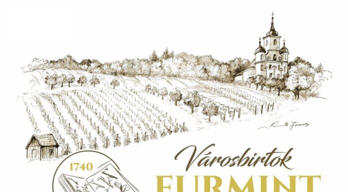 Furmint szűztermés a város birtokán