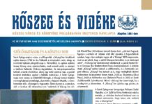 Szőlőhajtások és a Kőszegi Bor