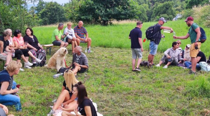 Donát Napi Bortúra 2024