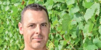 A 2024 -es szőlőtermésről