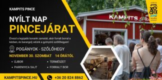 Borok, ízek és a Mikulás varázsa