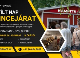 Borok, ízek és a Mikulás varázsa