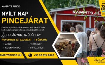 Borok, ízek és a Mikulás varázsa