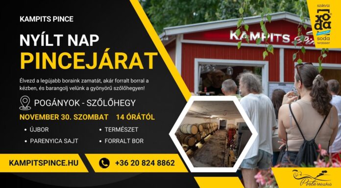 Borok, ízek és a Mikulás varázsa