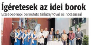 Szép csepregi borok – Bemutatták, milyen lett az idei évjárat