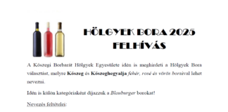 Hölgyek Bora felhívás 2025