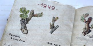 Szőlő Jövésnek Könyve 2025