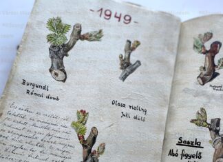 Szőlő Jövésnek Könyve 2025