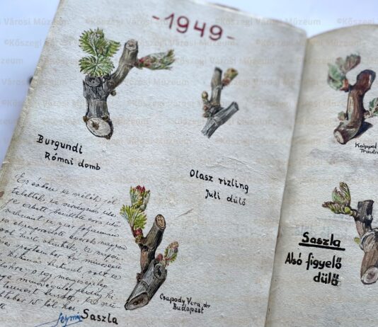 Szőlő Jövésnek Könyve 2025