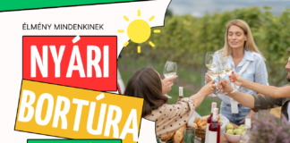 Nyári bortúra 2025