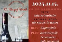 20. Kőszegi Borbál 2025