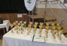 Lukácsházi térségi borverseny 2026