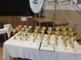 Lukácsházi térségi borverseny 2026