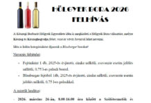 Hölgyek Bora felhívás 2026