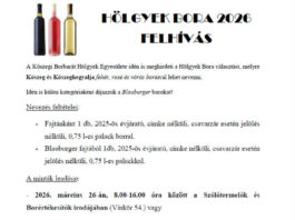 Hölgyek Bora felhívás 2026