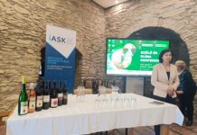 Keresték a megoldást