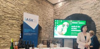 Keresték a megoldást