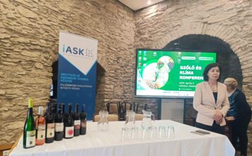 Keresték a megoldást