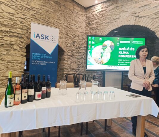 Keresték a megoldást