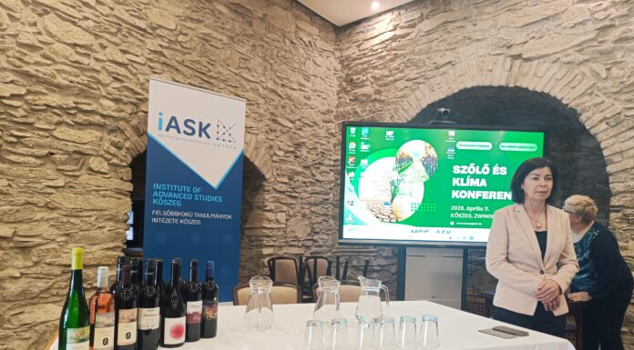 Keresték a megoldást