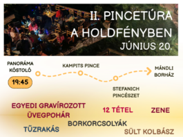 II. Pincetúra a Holdényben