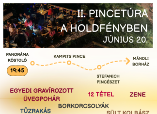 II. Pincetúra a Holdényben