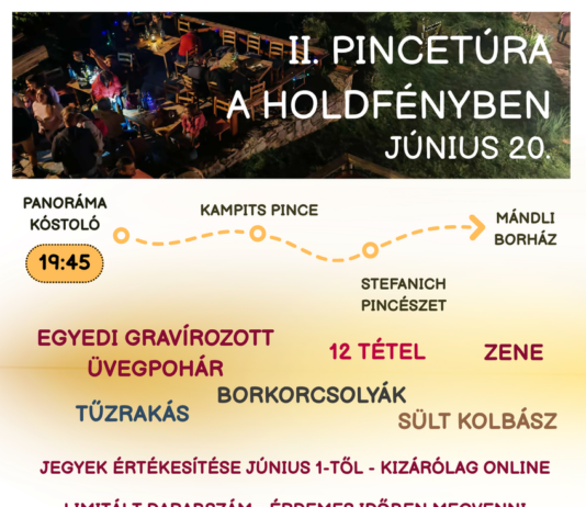 II. Pincetúra a Holdényben