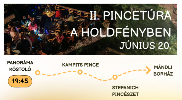 II. Pincetúra a Holdényben