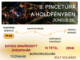 II. Pincetúra a Holdényben