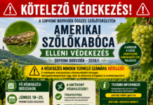 Védekezési felhívás 2026/1