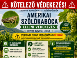 Védekezési felhívás 2026/1