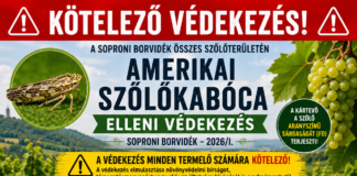Védekezési felhívás 2026/1