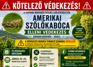 Védekezési felhívás 2026/1