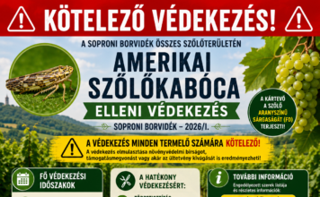 Védekezési felhívás 2026/1